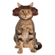 Illustration for article titled The Best Geeky Halloween Costumes For Your Pet